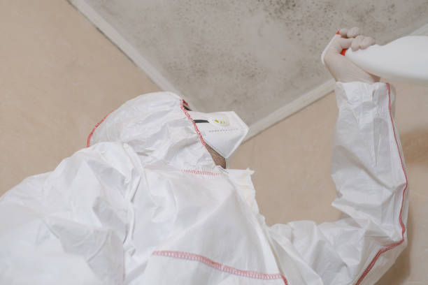 Best Office Mold Removal Services  in Bloomingdale, TN